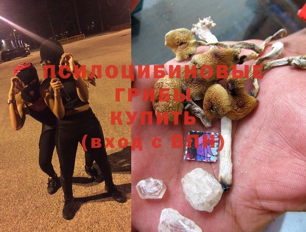 трава Заводоуковск