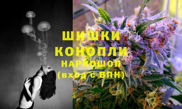 трава Заводоуковск