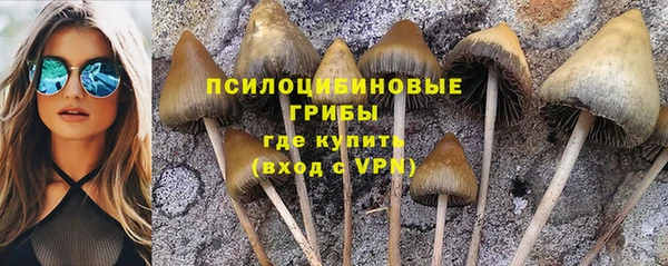 трава Заводоуковск